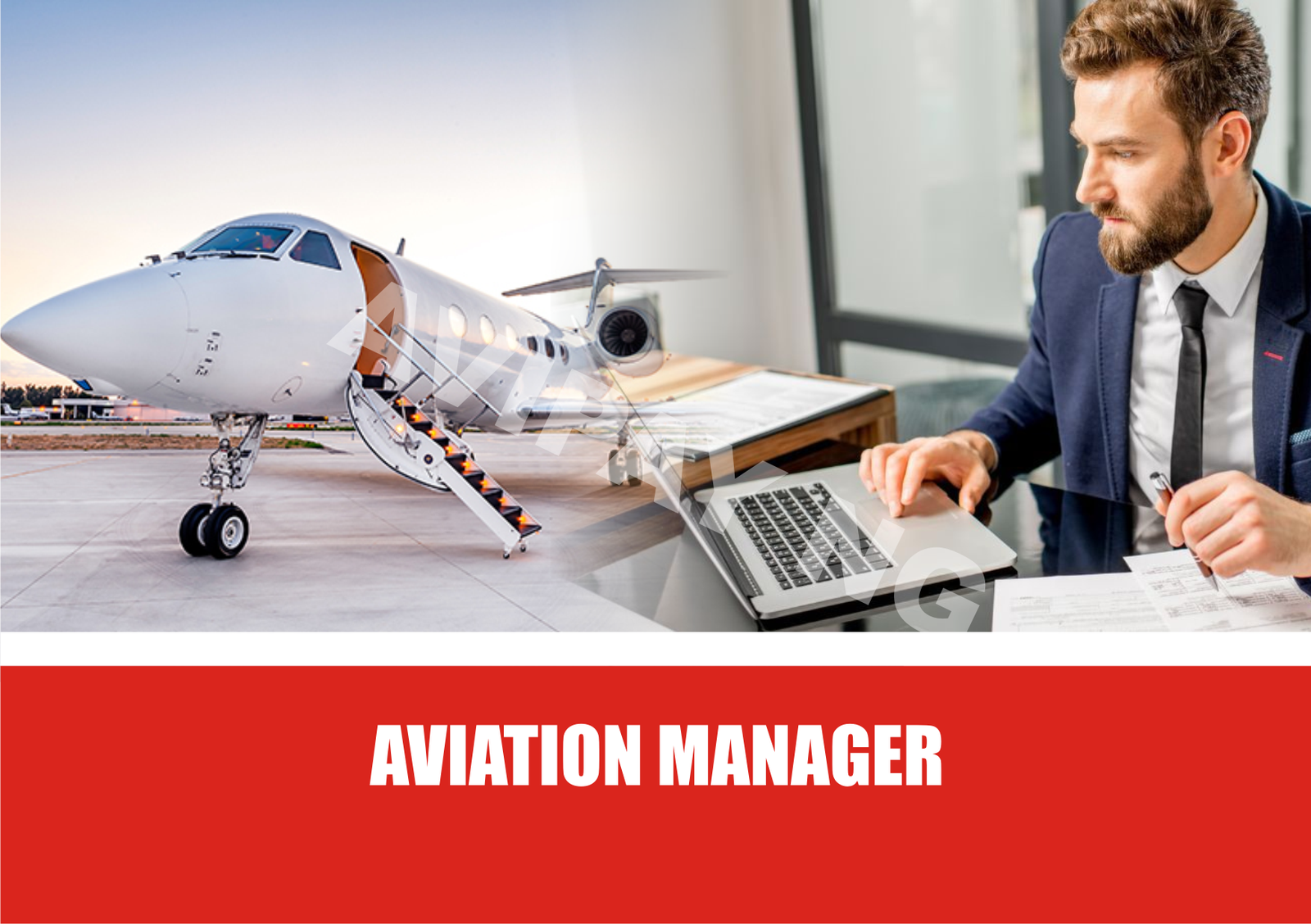 Aviation Manager